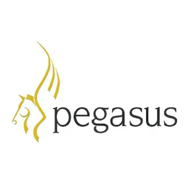 Pegasus  Technology Partner